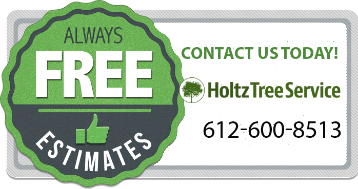 Get FREE quotes from Twin Cities MN Tree Experts