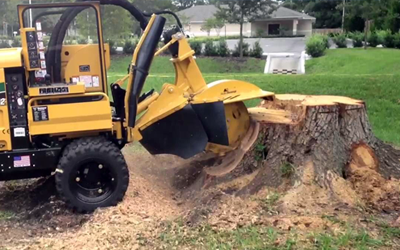 stump grinding service - Wayzata, Minnesota